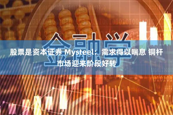 股票是资本证券 Mysteel：需求得以喘息 铜杆市场迎来阶段好转