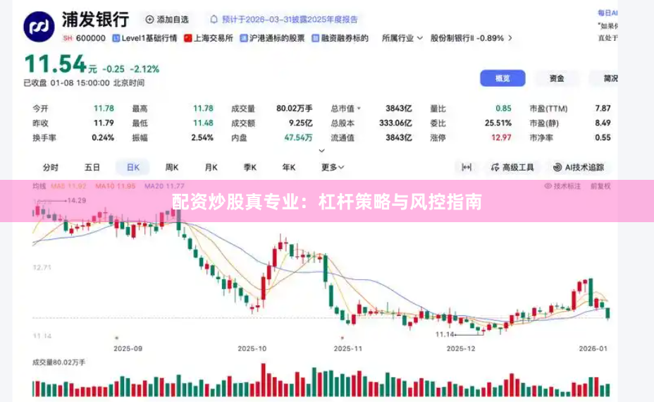 配资炒股真专业：杠杆策略与风控指南