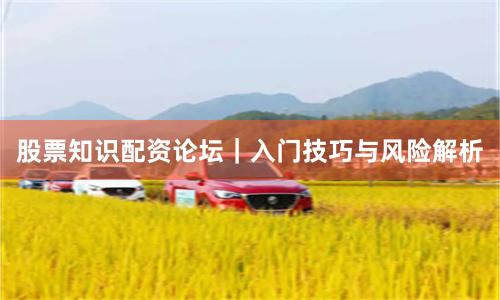 股票知识配资论坛|入门技巧与风险解析